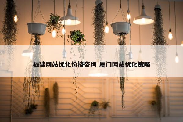 福建网站优化价格咨询 厦门网站优化策略