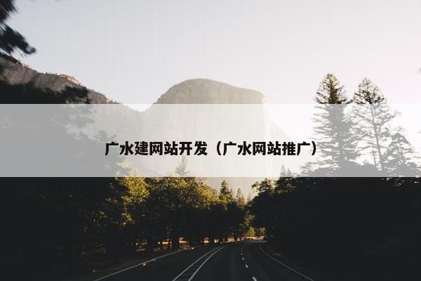 广水建网站开发（广水网站推广）