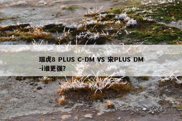 瑞虎8 PLUS C-DM VS 宋PLUS DM-i谁更强？