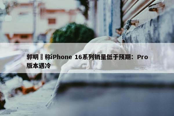 郭明錤称iPhone 16系列销量低于预期：Pro版本遇冷