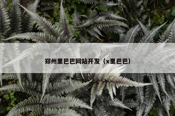 郑州里巴巴网站开发（x里巴巴）