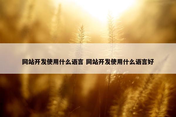 网站开发使用什么语言 网站开发使用什么语言好