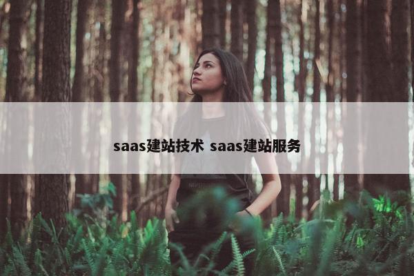 saas建站技术 saas建站服务