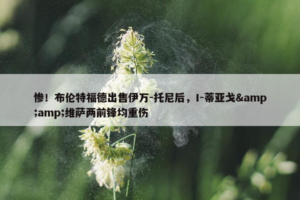 惨！布伦特福德出售伊万-托尼后，I-蒂亚戈&amp;维萨两前锋均重伤