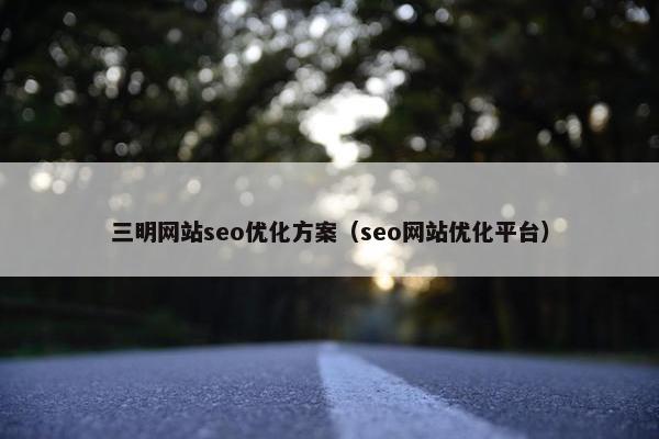 三明网站seo优化方案（seo网站优化平台）