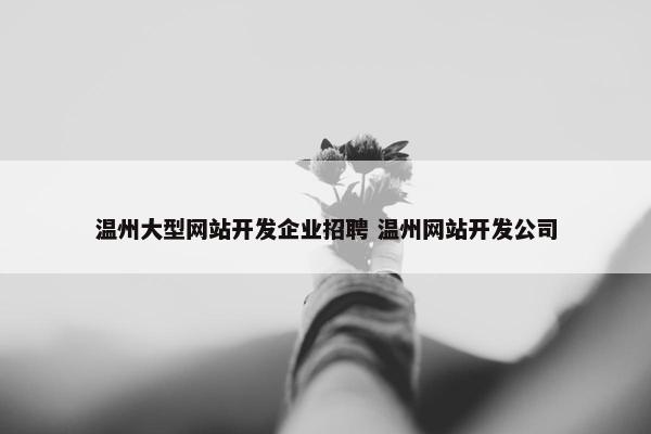 温州大型网站开发企业招聘 温州网站开发公司