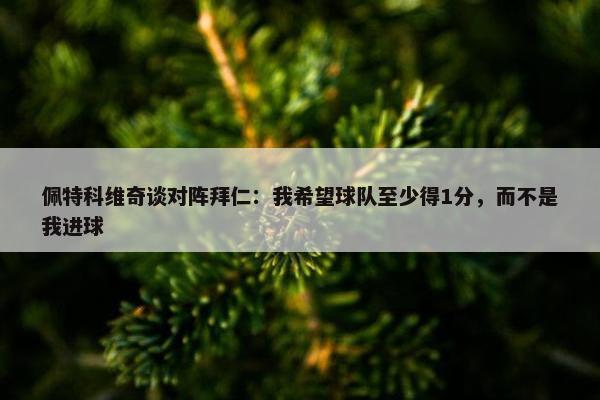 佩特科维奇谈对阵拜仁：我希望球队至少得1分，而不是我进球