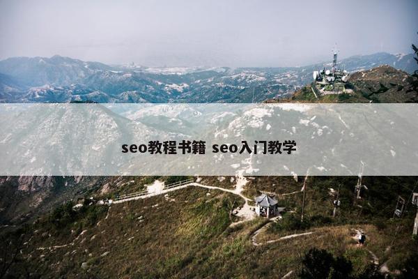 seo教程书籍 seo入门教学