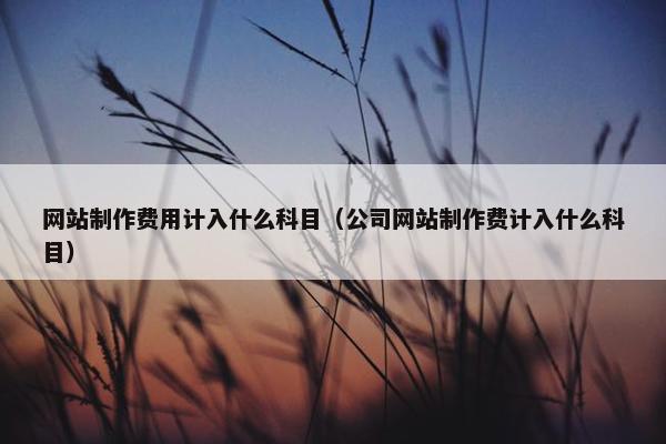 网站制作费用计入什么科目（公司网站制作费计入什么科目）