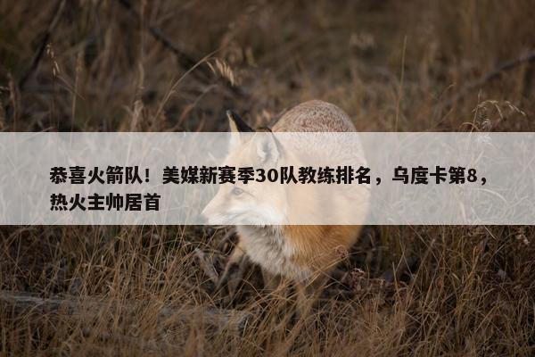 恭喜火箭队！美媒新赛季30队教练排名，乌度卡第8，热火主帅居首