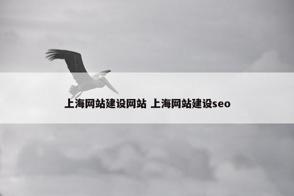 上海网站建设网站 上海网站建设seo