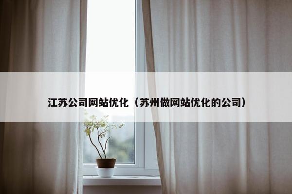 江苏公司网站优化（苏州做网站优化的公司）