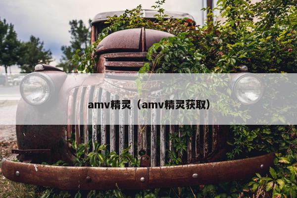 amv精灵（amv精灵获取）