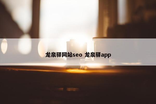 龙泉驿网站seo 龙泉驿app