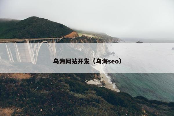 乌海网站开发（乌海seo）