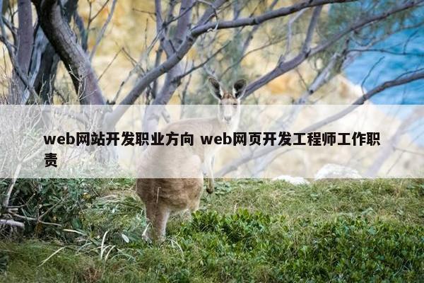 web网站开发职业方向 web网页开发工程师工作职责