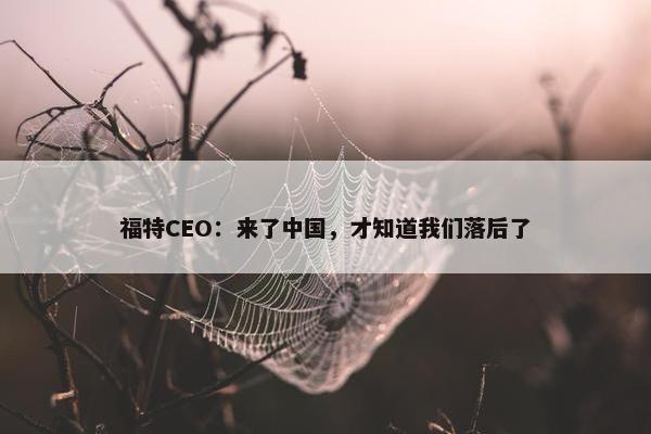 福特CEO：来了中国，才知道我们落后了