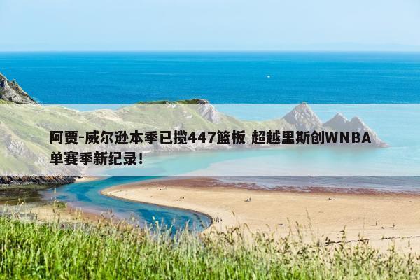 阿贾-威尔逊本季已揽447篮板 超越里斯创WNBA单赛季新纪录！