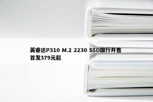 英睿达P310 M.2 2230 SSD国行开售 首发379元起