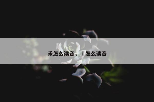 禾怎么读音，盉怎么读音