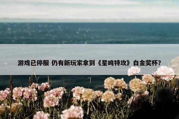 游戏已停服 仍有新玩家拿到《星鸣特攻》白金奖杯？