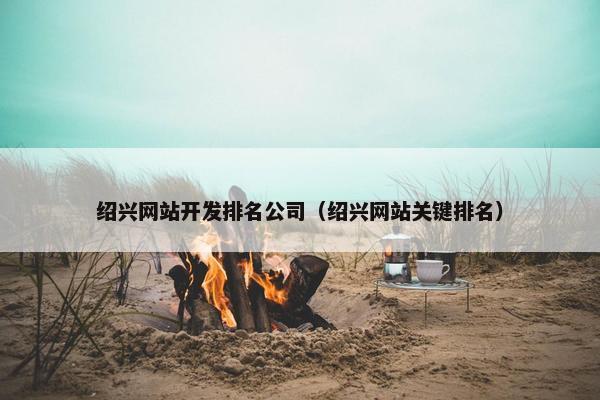 绍兴网站开发排名公司（绍兴网站关键排名）