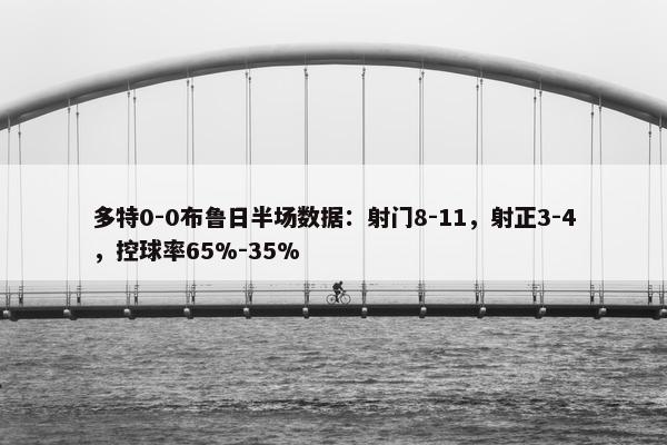 多特0-0布鲁日半场数据：射门8-11，射正3-4，控球率65%-35%