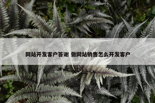 网站开发客户答谢 做网站销售怎么开发客户