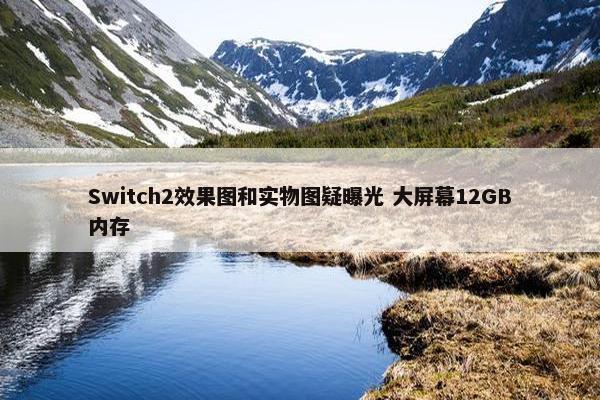 Switch2效果图和实物图疑曝光 大屏幕12GB内存