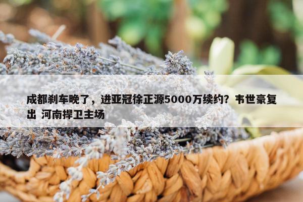 成都刹车晚了，进亚冠徐正源5000万续约？韦世豪复出 河南捍卫主场