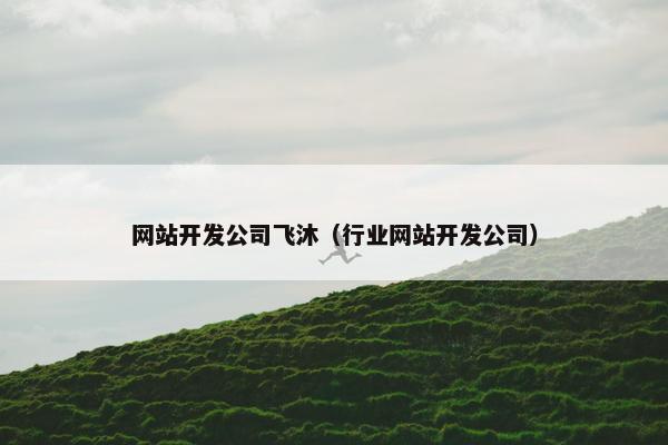 网站开发公司飞沐（行业网站开发公司）