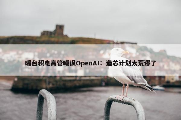 曝台积电高管嘲讽OpenAI：造芯计划太荒谬了