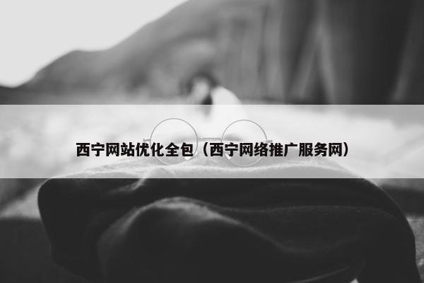 西宁网站优化全包（西宁网络推广服务网）