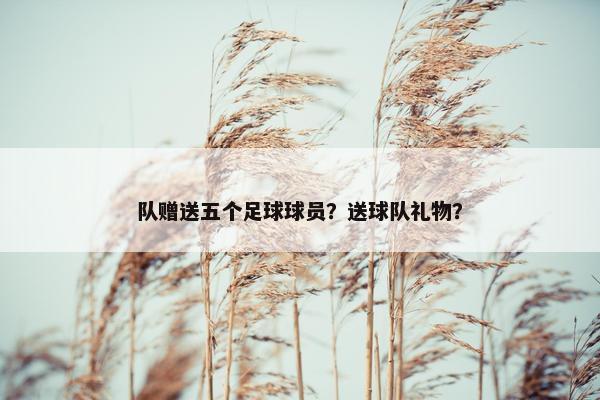 队赠送五个足球球员？送球队礼物？