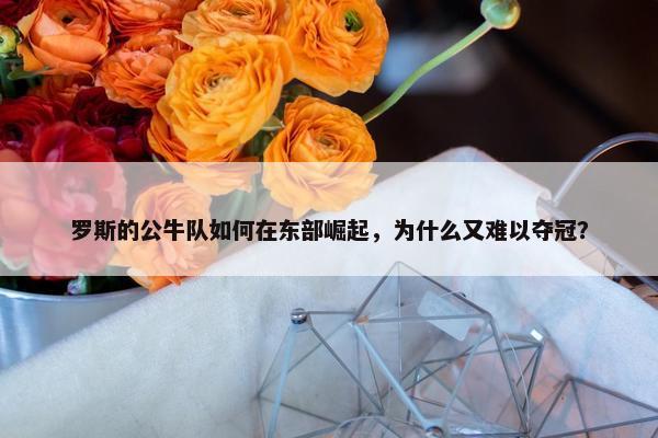 罗斯的公牛队如何在东部崛起，为什么又难以夺冠？