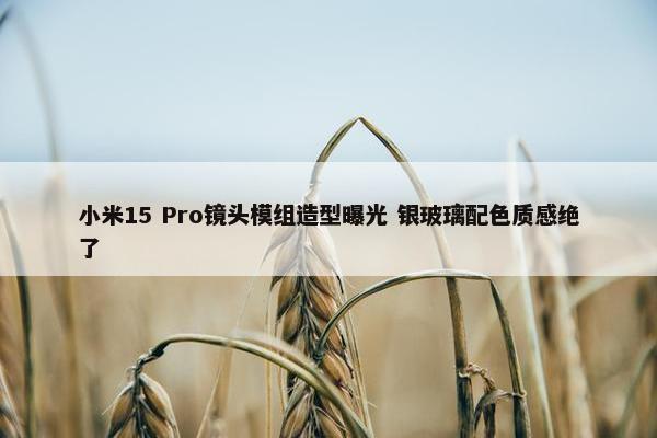 小米15 Pro镜头模组造型曝光 银玻璃配色质感绝了