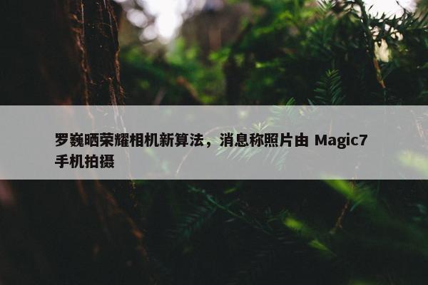 罗巍晒荣耀相机新算法，消息称照片由 Magic7 手机拍摄