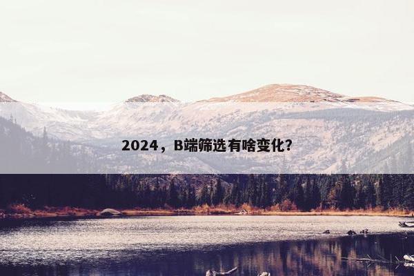 2024，B端筛选有啥变化？