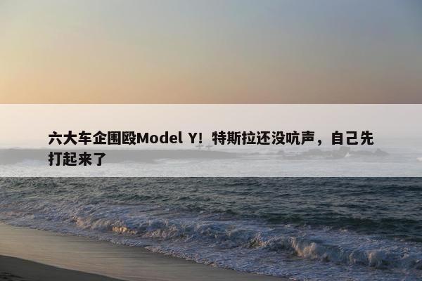 六大车企围殴Model Y！特斯拉还没吭声，自己先打起来了