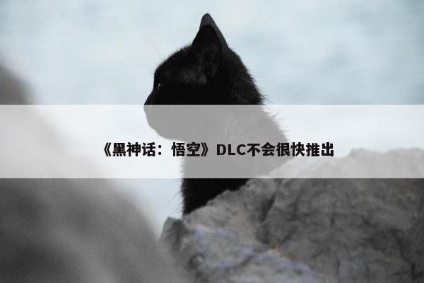 《黑神话：悟空》DLC不会很快推出