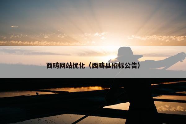 西畴网站优化（西畴县招标公告）