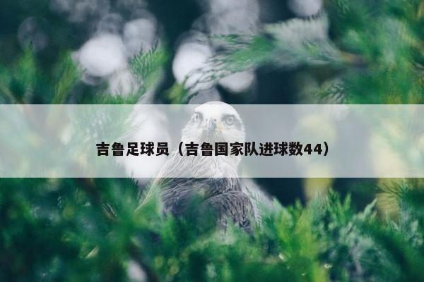 吉鲁足球员（吉鲁国家队进球数44）