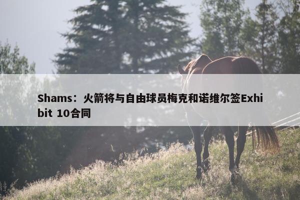 Shams：火箭将与自由球员梅克和诺维尔签Exhibit 10合同