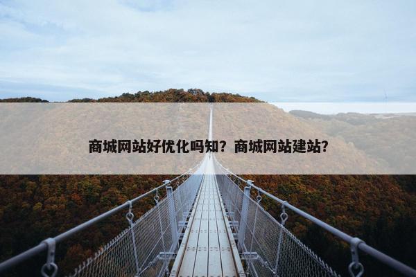 商城网站好优化吗知？商城网站建站？