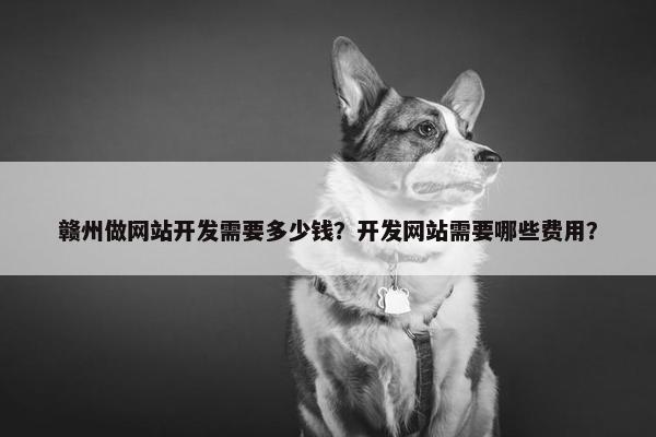 赣州做网站开发需要多少钱？开发网站需要哪些费用？