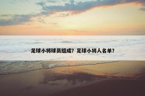 足球小将球员组成？足球小将人名单？