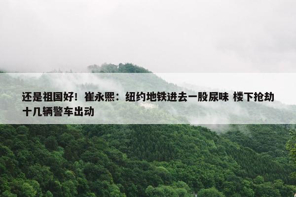 还是祖国好！崔永熙：纽约地铁进去一股尿味 楼下抢劫十几辆警车出动