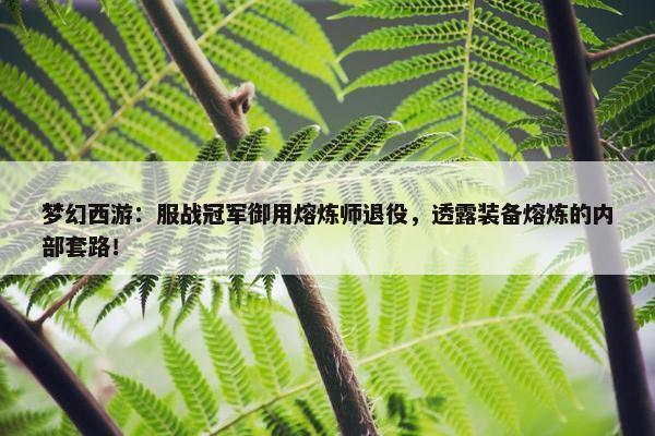 梦幻西游：服战冠军御用熔炼师退役，透露装备熔炼的内部套路！