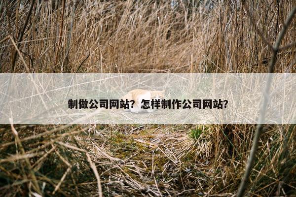 制做公司网站？怎样制作公司网站？