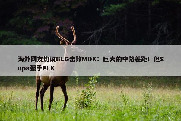 海外网友热议BLG击败MDK：巨大的中路差距！但Supa强于ELK